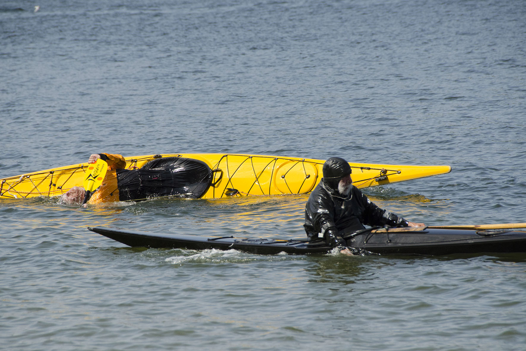 Cluster of sea kayaks  Introkurs för kajakledare, Friluftsfrämjandet 